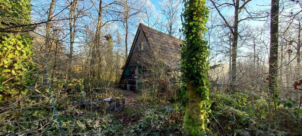 Het Boshuisje In Durbuy Villa Eksteriør bilde