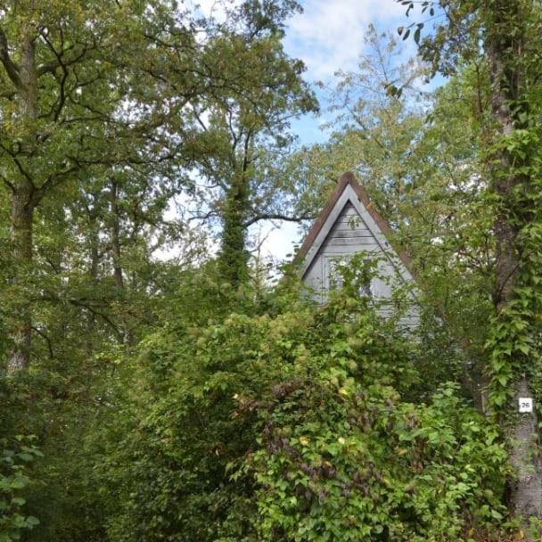 Het Boshuisje In Durbuy Villa Eksteriør bilde