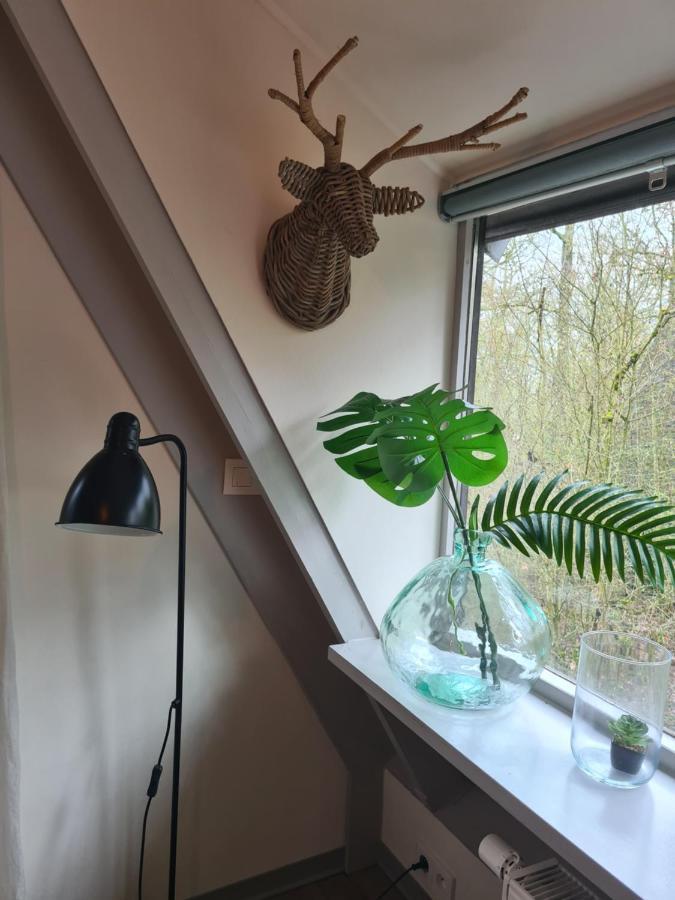 Het Boshuisje In Durbuy Villa Eksteriør bilde
